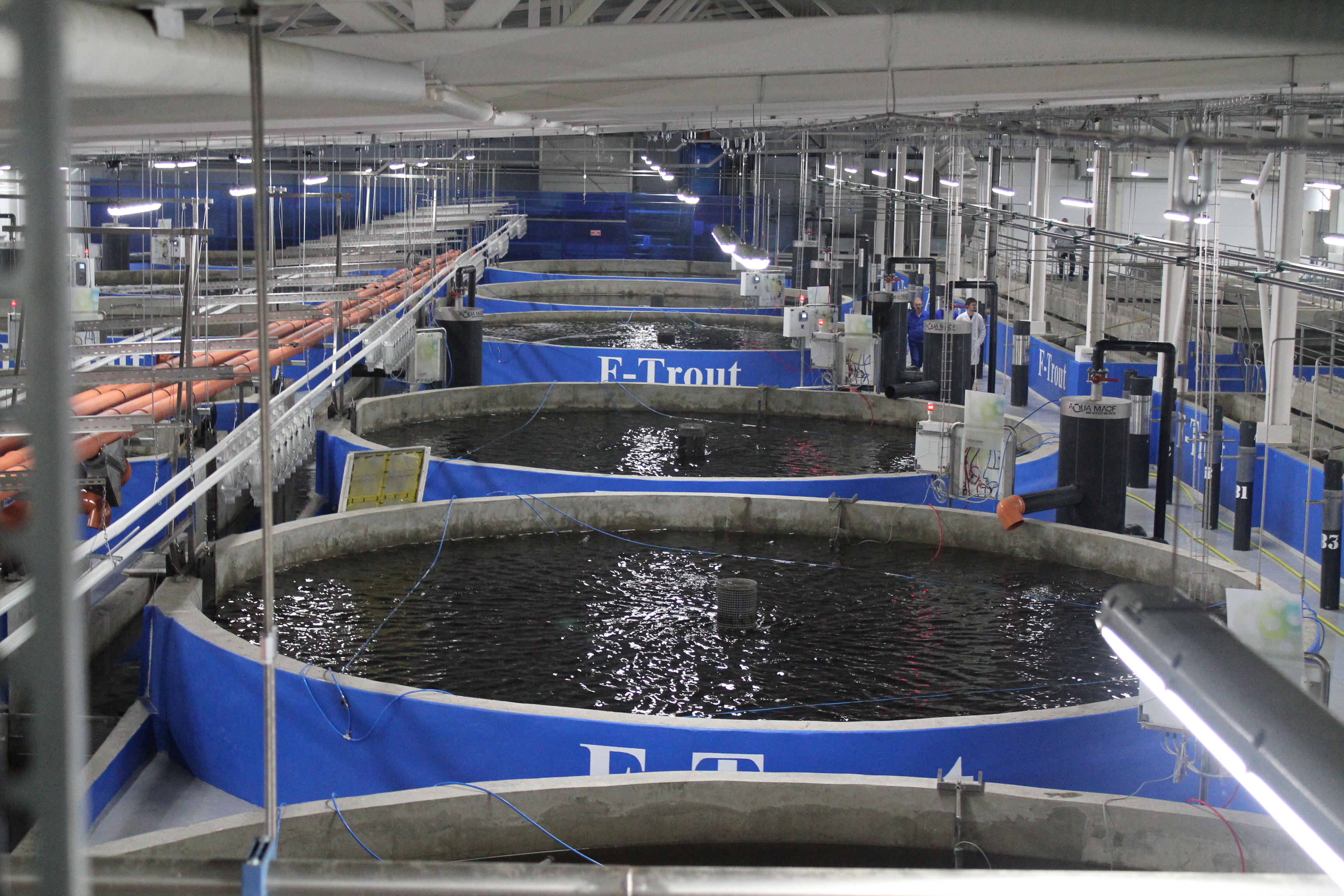 Технология УЗВ | Установки замкнутого водоснабжения | Рыба разведение, рыбоводство