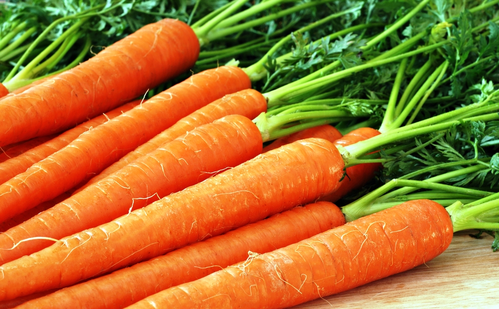 Самый сложный продукт для хранения — морковь: Возможно ли снизить рост ценв зимне-весенний период и сократить долю импорта?